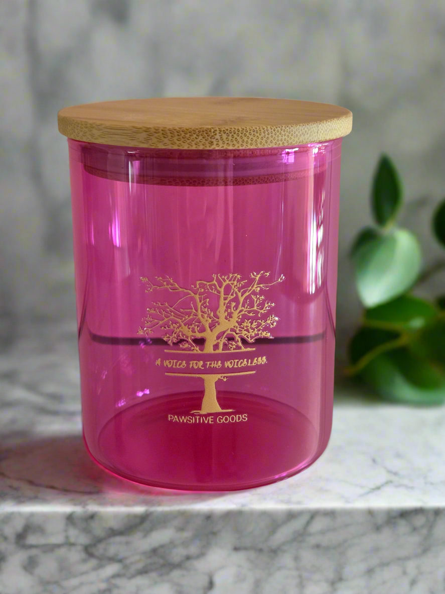 A Voice for the Voiceless Jar