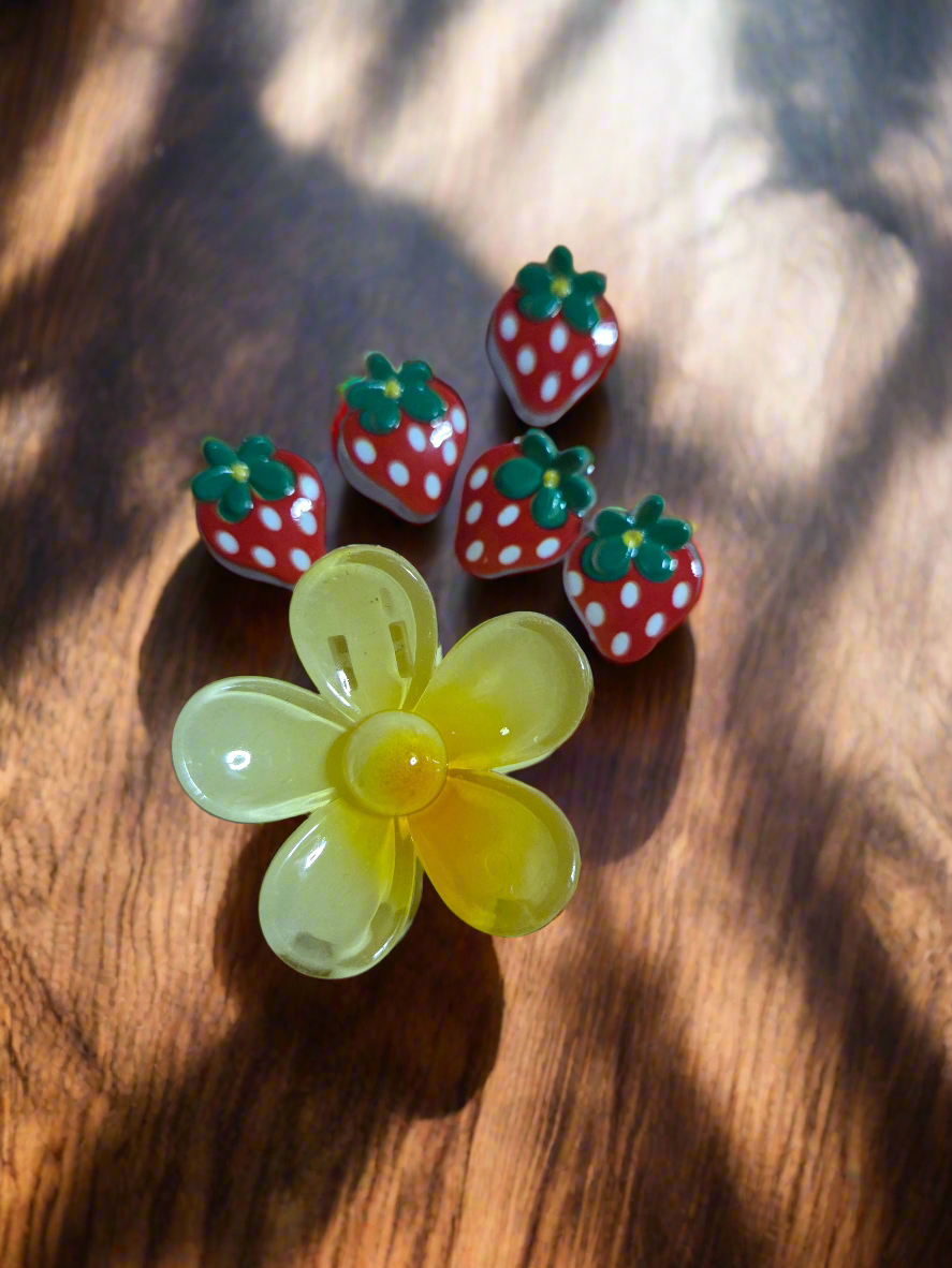 Floral Starbursts clips