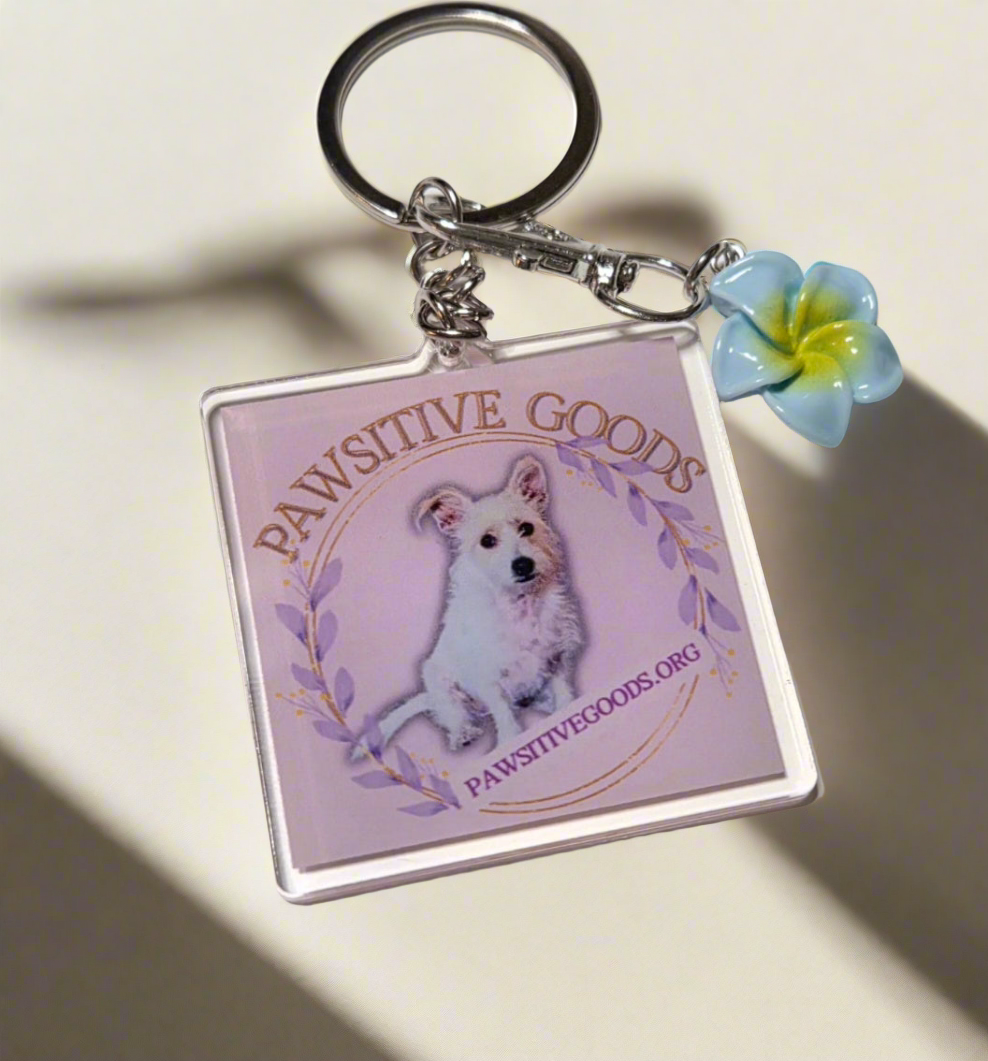 Pawsitive Goods keychain