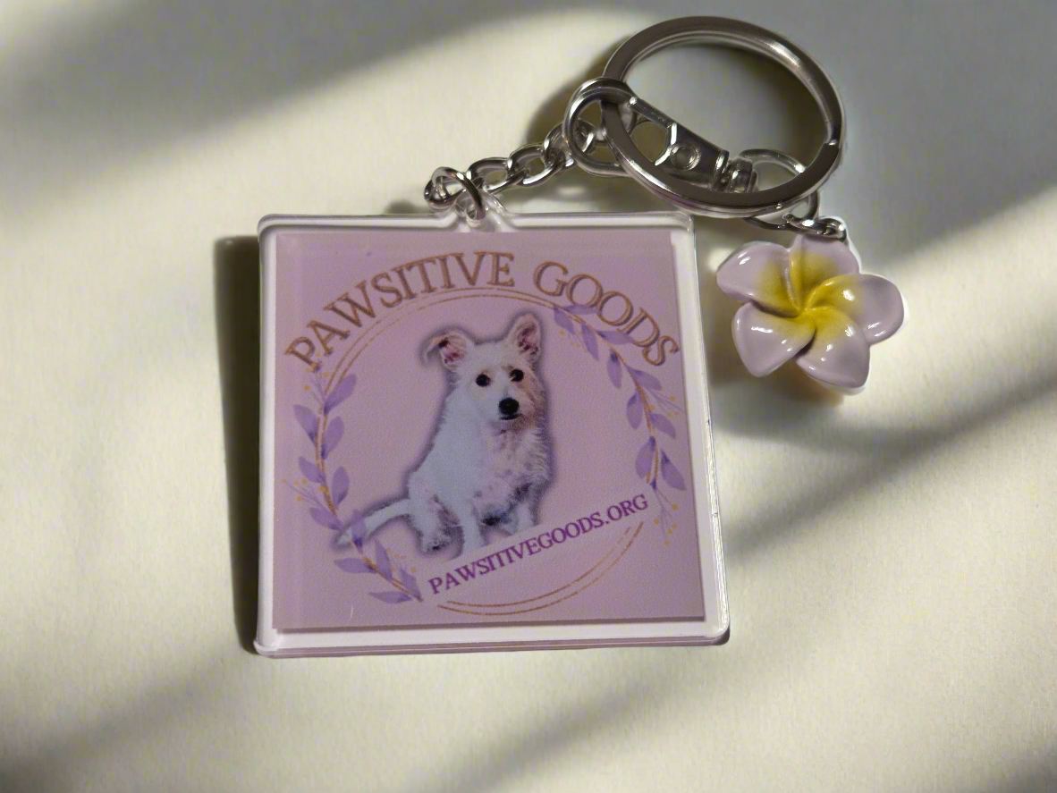 Pawsitive Goods keychain