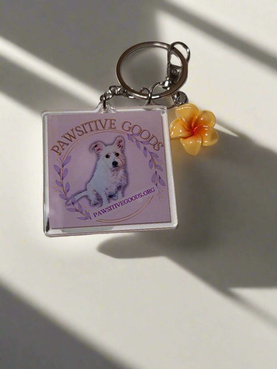 Pawsitive Goods keychain