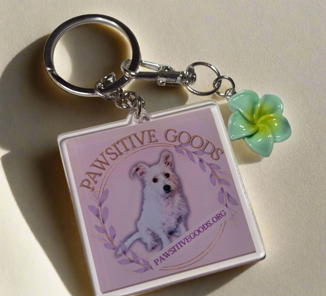 Pawsitive Goods keychain