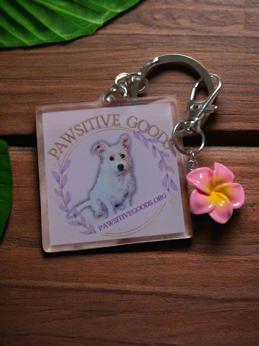 Pawsitive Goods keychain
