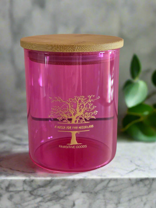 A Voice for the Voiceless Jar