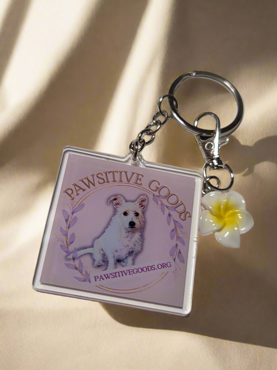 Pawsitive Goods keychain