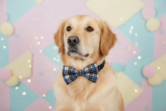 Bow Ties for Pets
