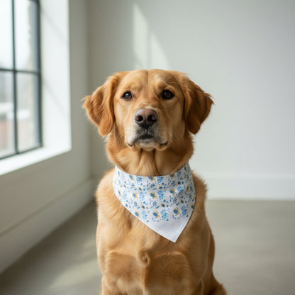 Pet Bandanas
