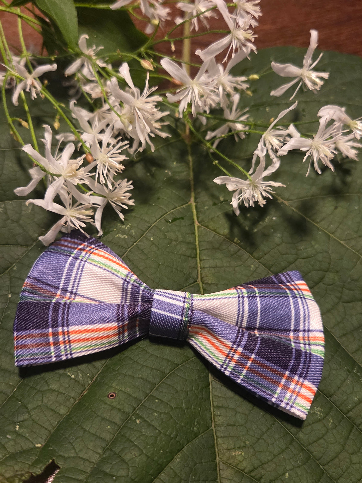 Bow Ties for Pets