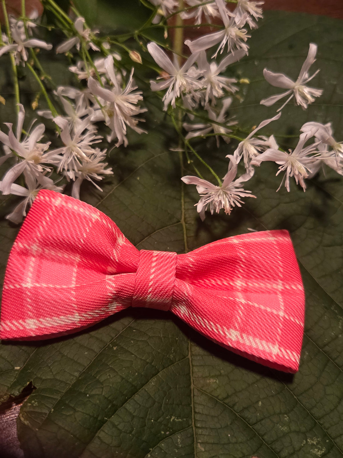 Bow Ties for Pets