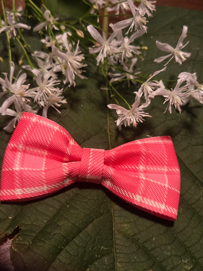 Bow Ties for Pets