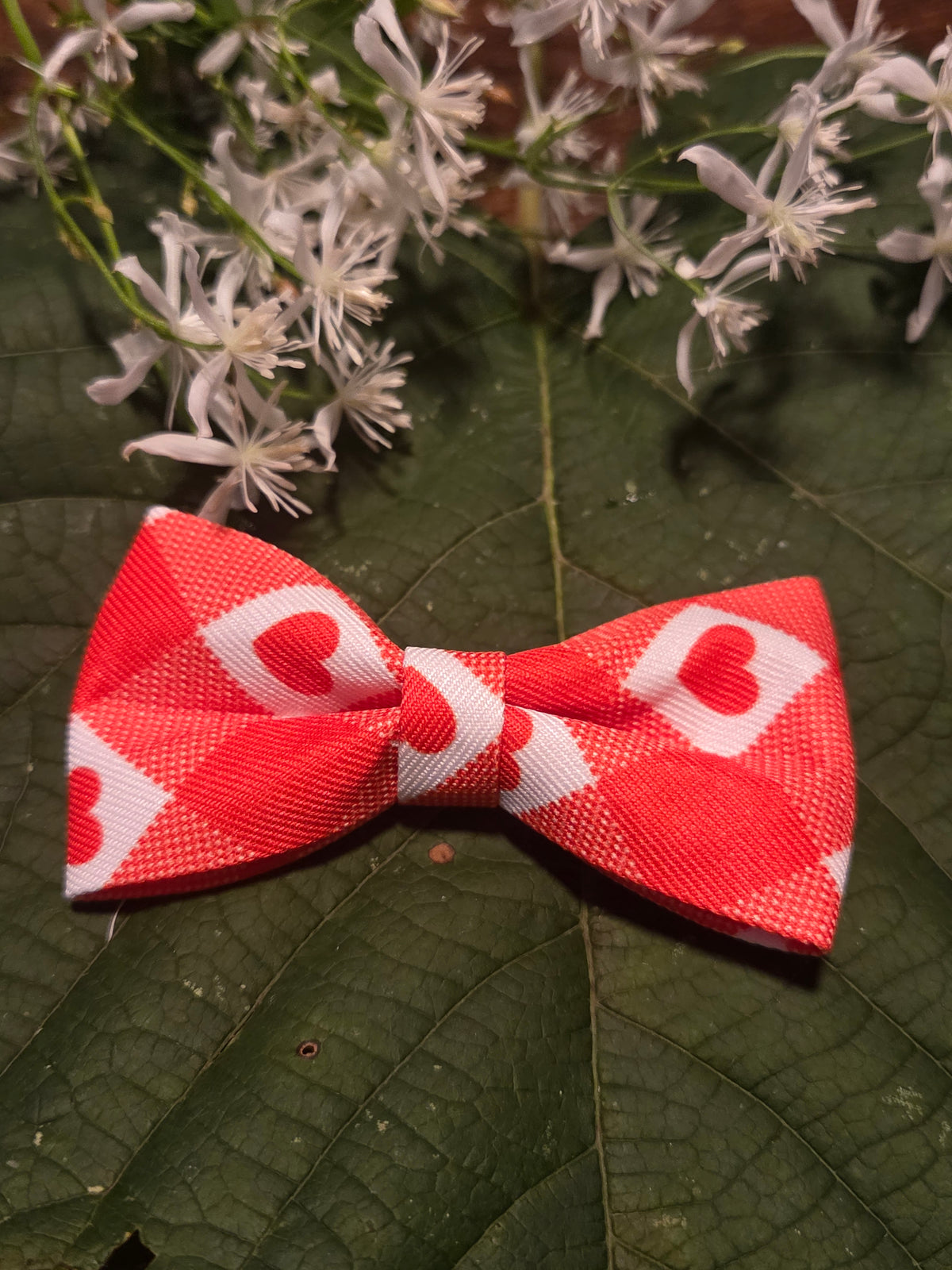 Bow Ties for Pets