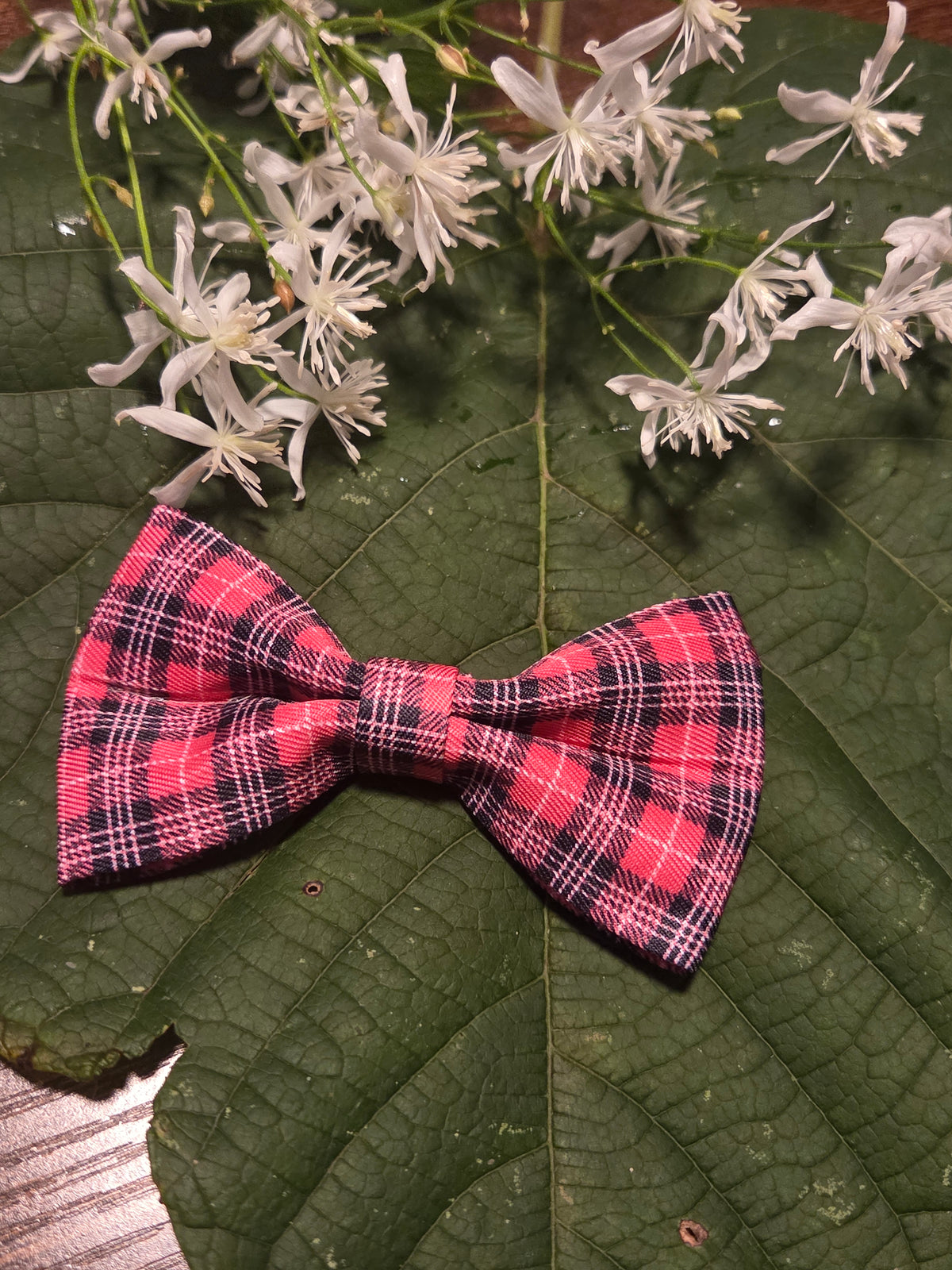 Bow Ties for Pets