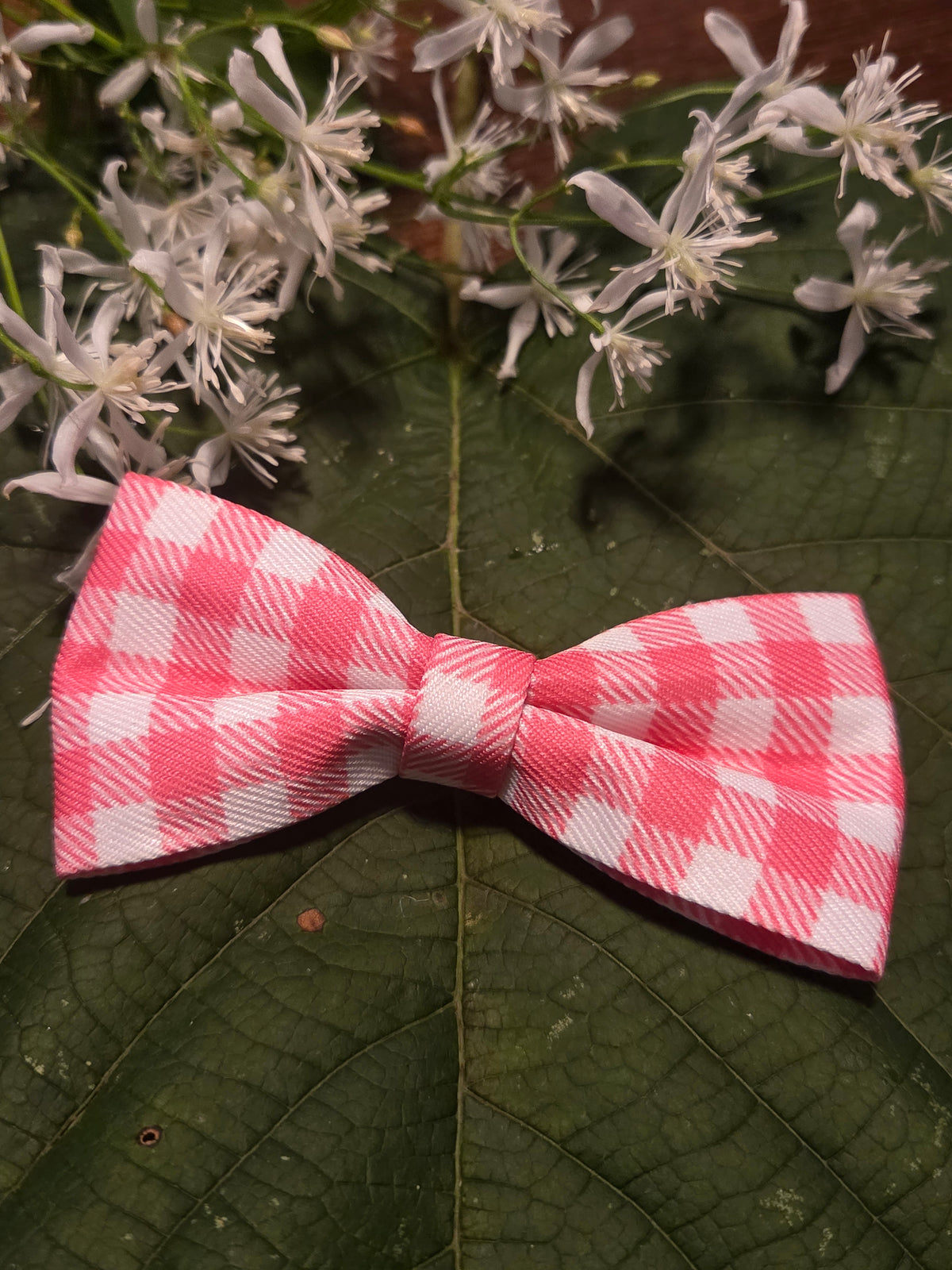 Bow Ties for Pets