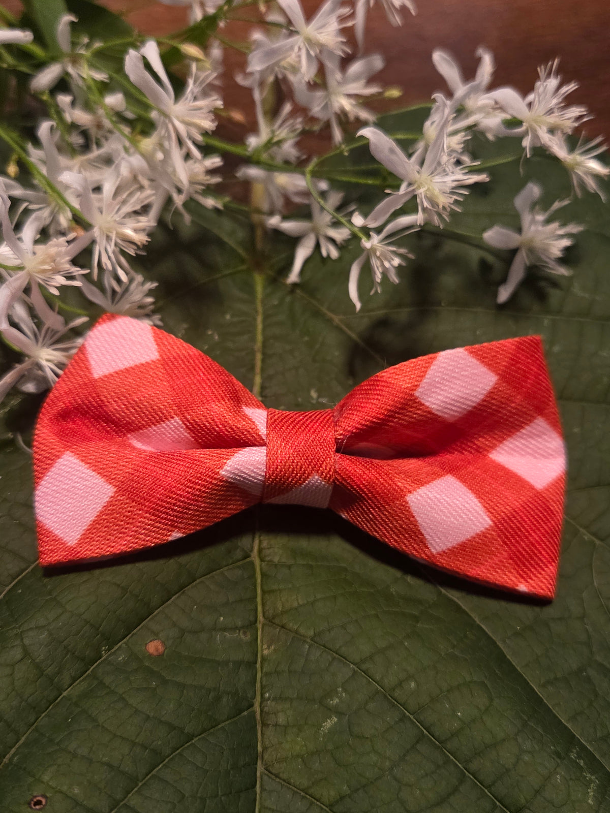 Bow Ties for Pets