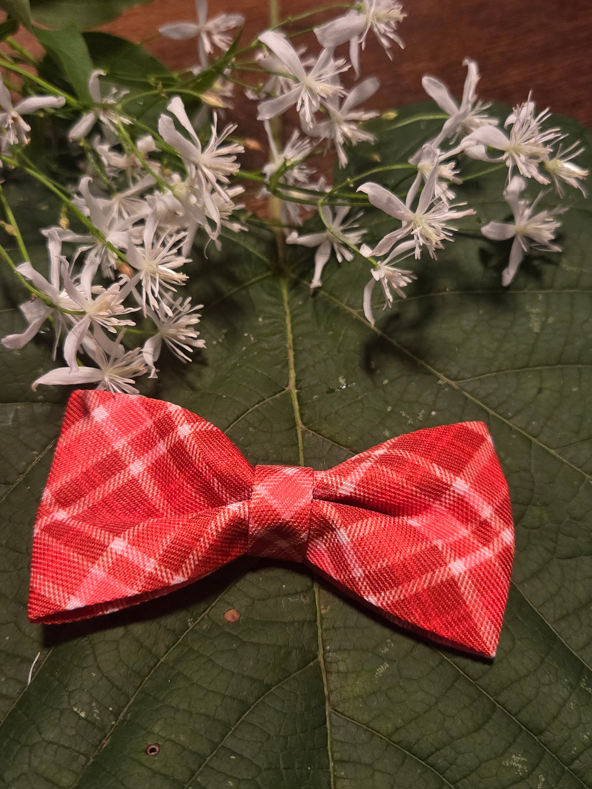 Bow Ties for Pets
