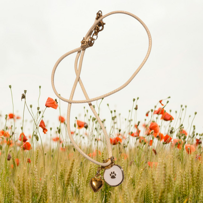 Paws for Hearts necklace