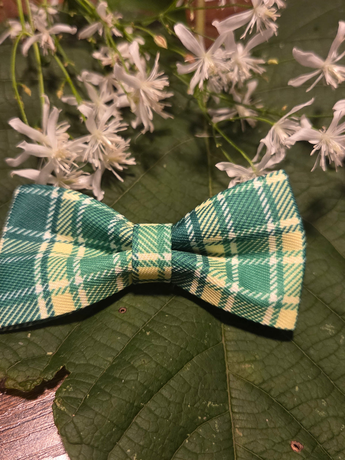 Bow Ties for Pets