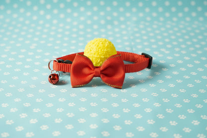 Cat Collar with Free Toy