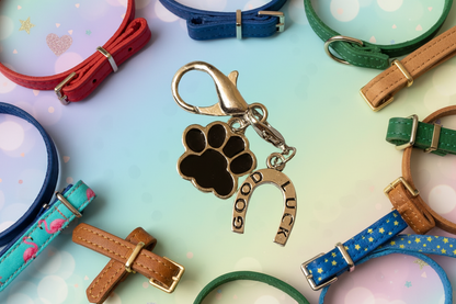 Paw of Fortune Charm Pet Charm