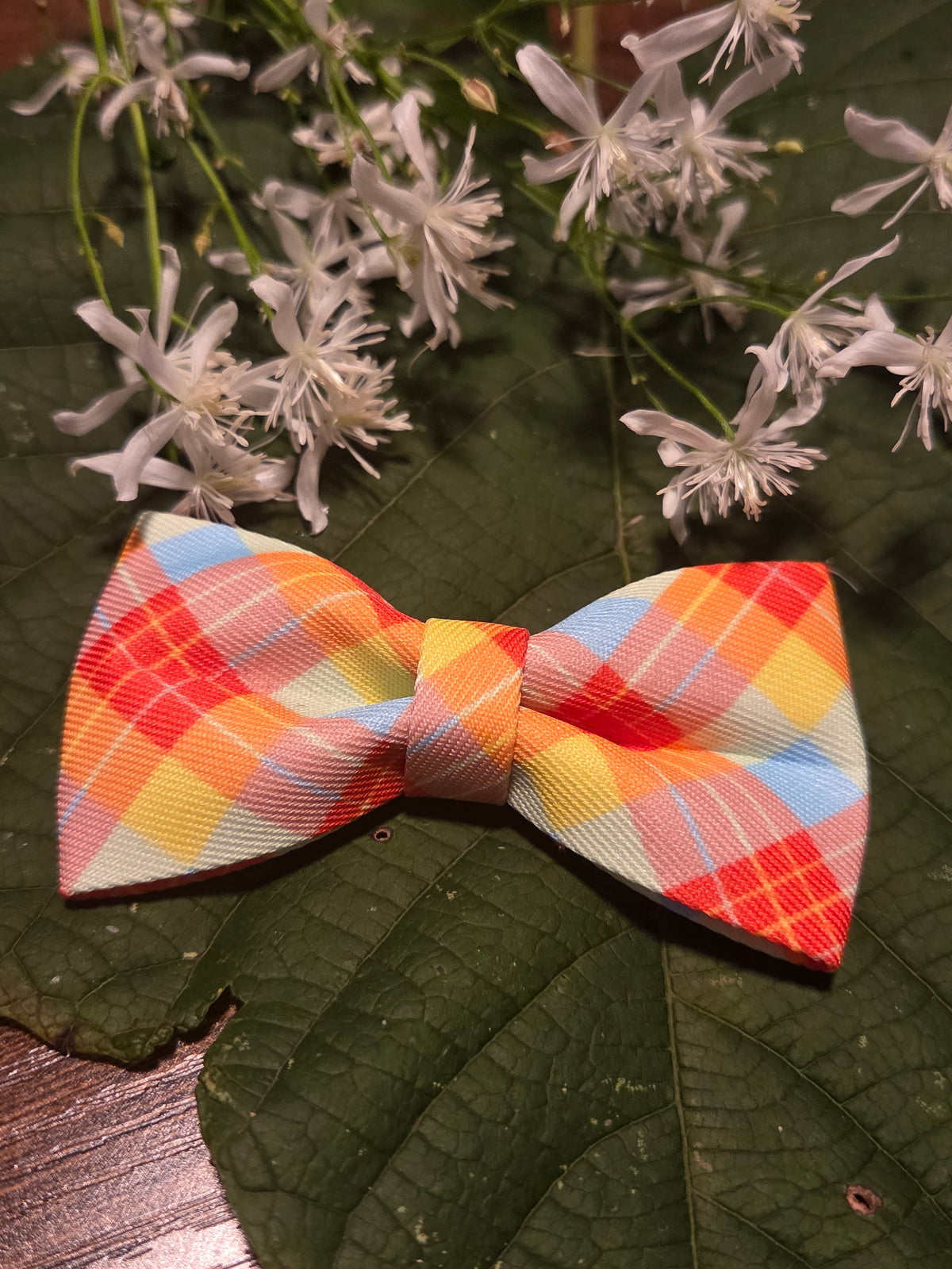 Bow Ties for Pets