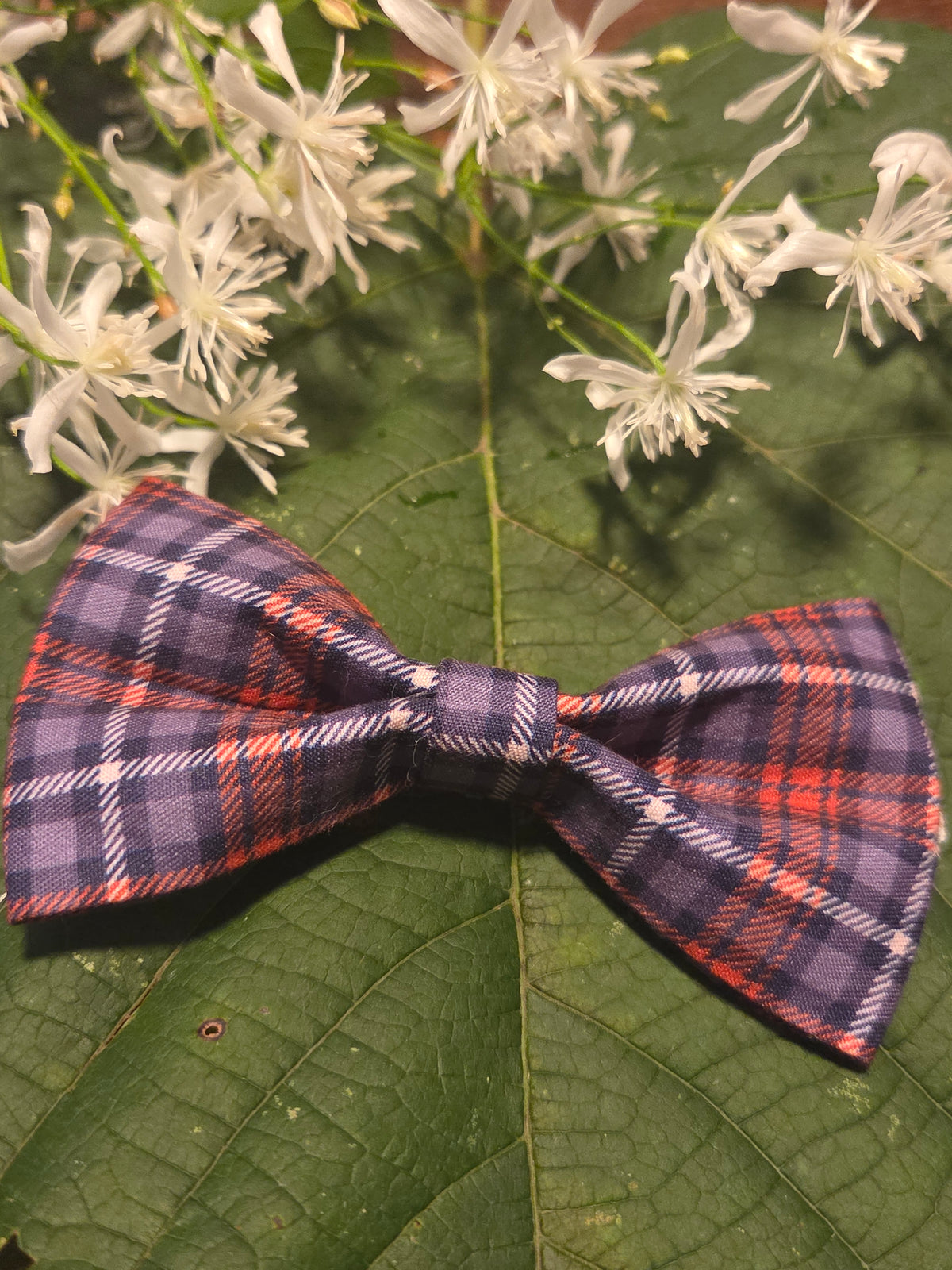 Bow Ties for Pets