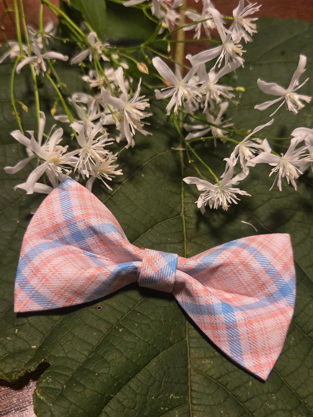 Bow Ties for Pets