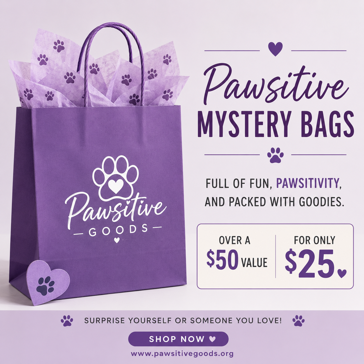 Pawsitive Mystery Bag