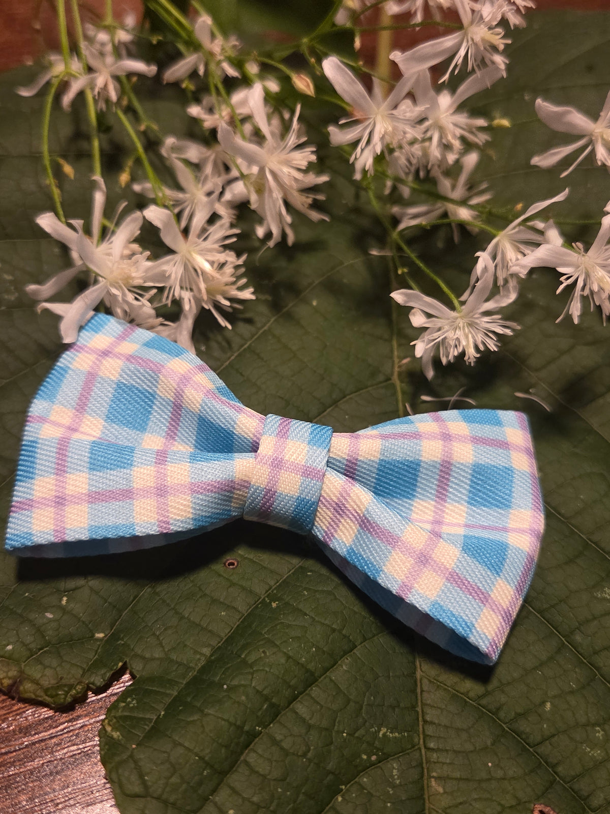 Bow Ties for Pets