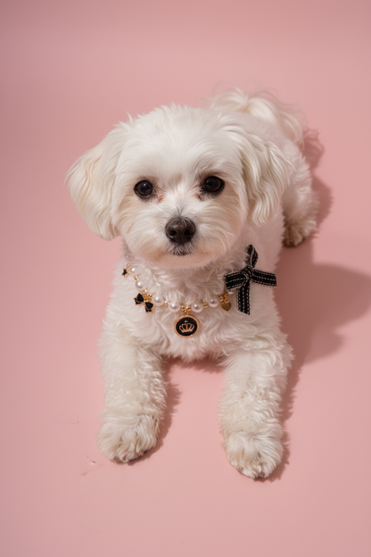 Fancy Pet Necklaces