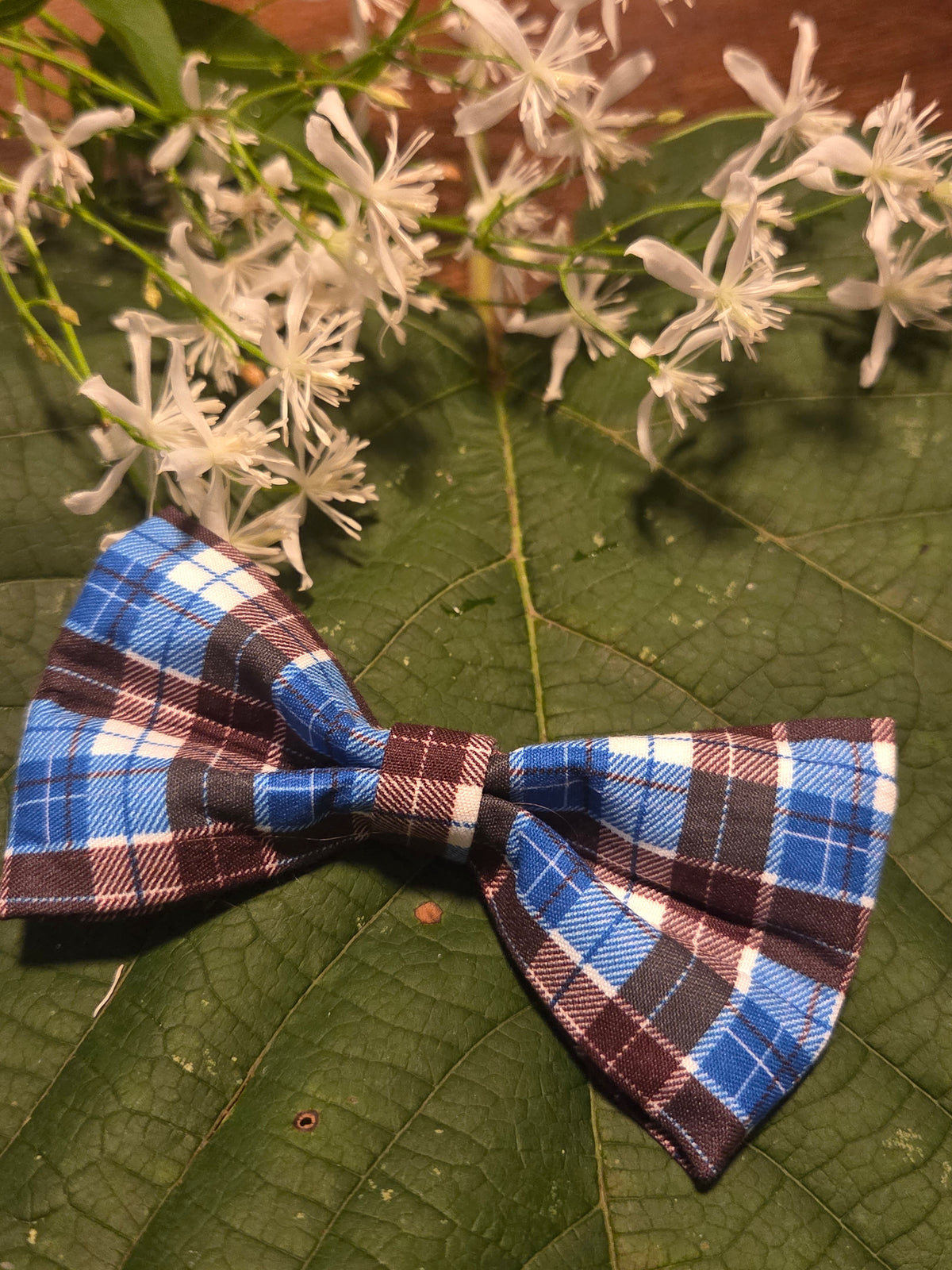 Bow Ties for Pets