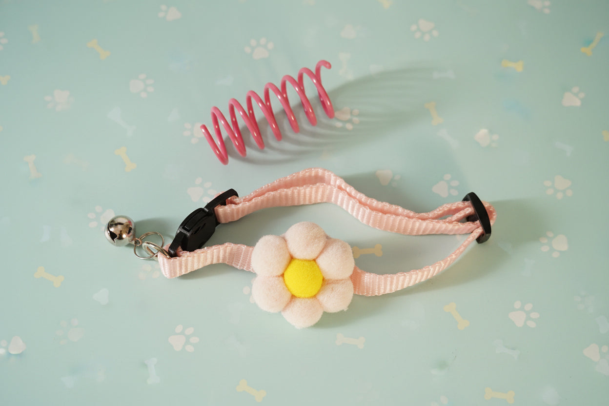 Cat Collar with Free Toy