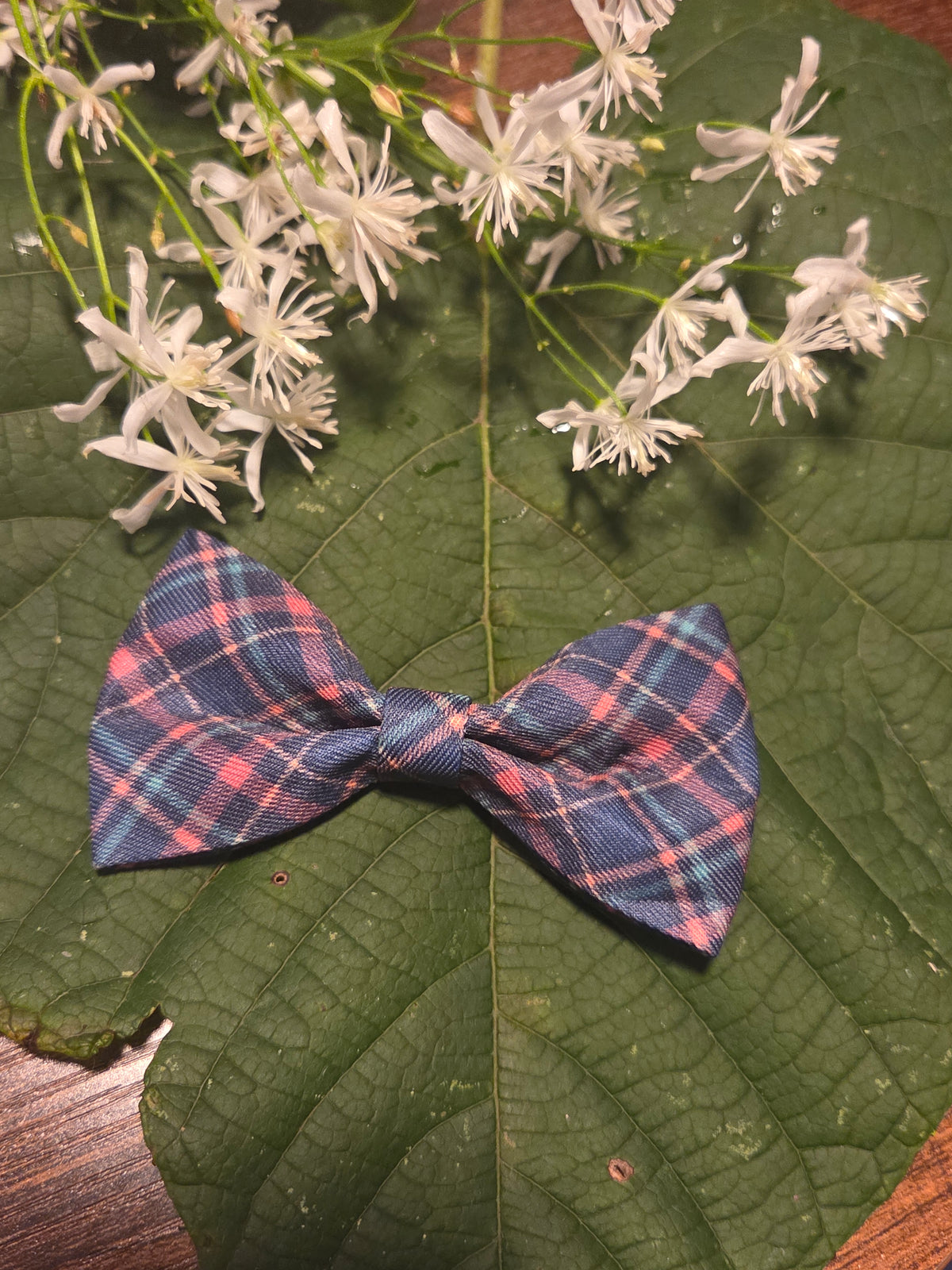 Bow Ties for Pets