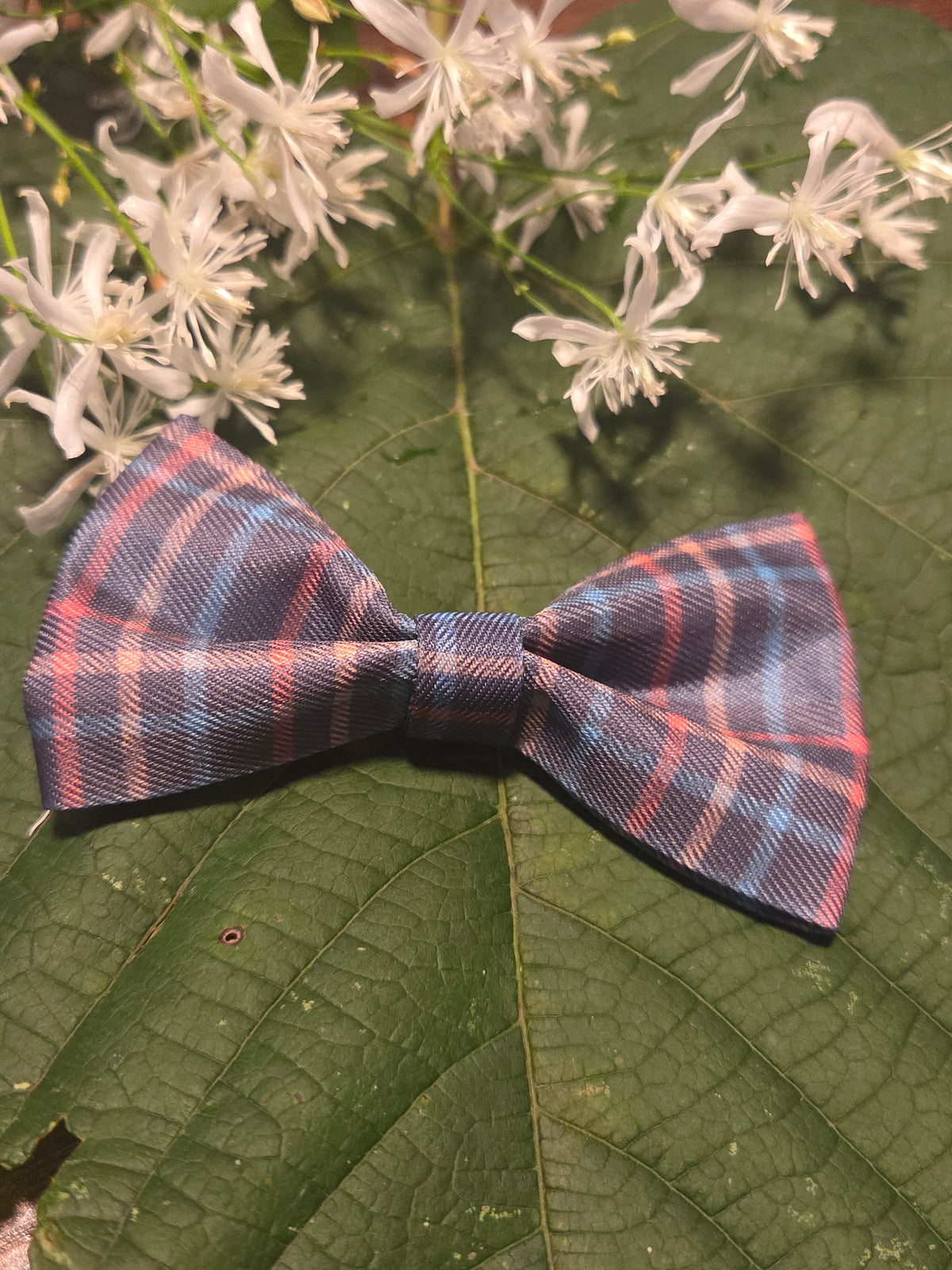 Bow Ties for Pets