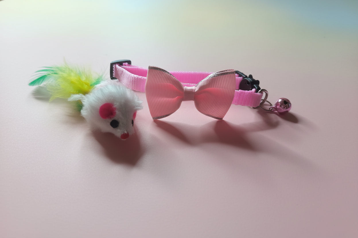 Cat Collar with Free Toy