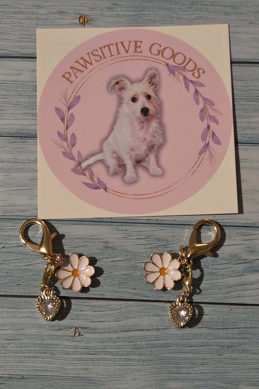 Sparkling Daisy - Pet Charm