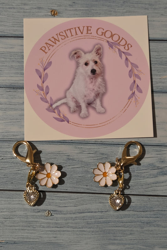 Sparkling Daisy - Pet Charm