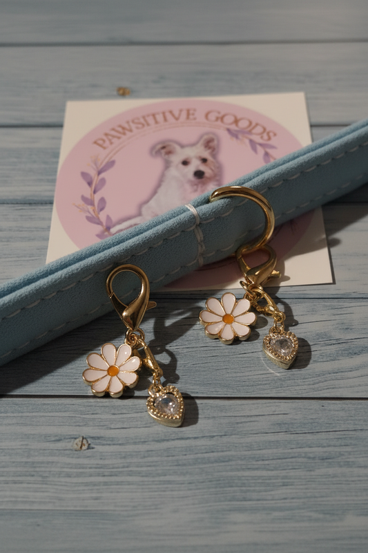 Sparkling Daisy - Pet Charm