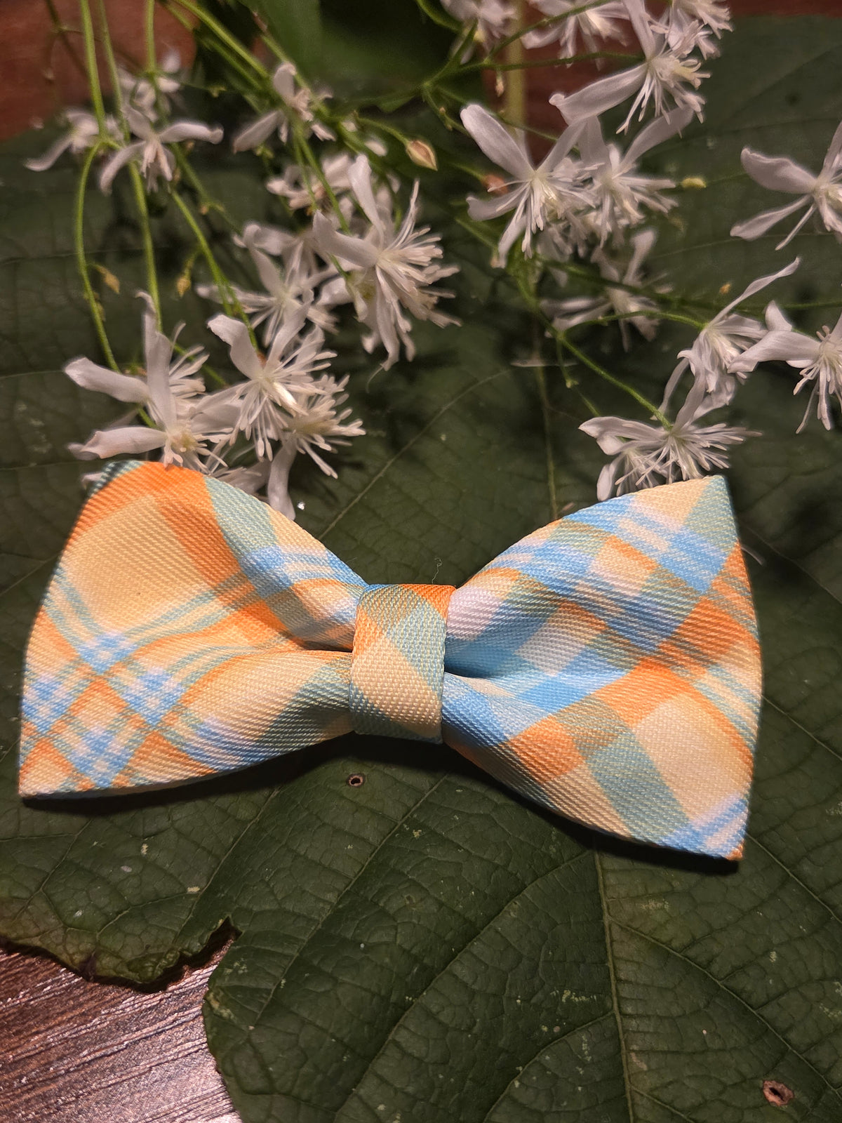 Bow Ties for Pets