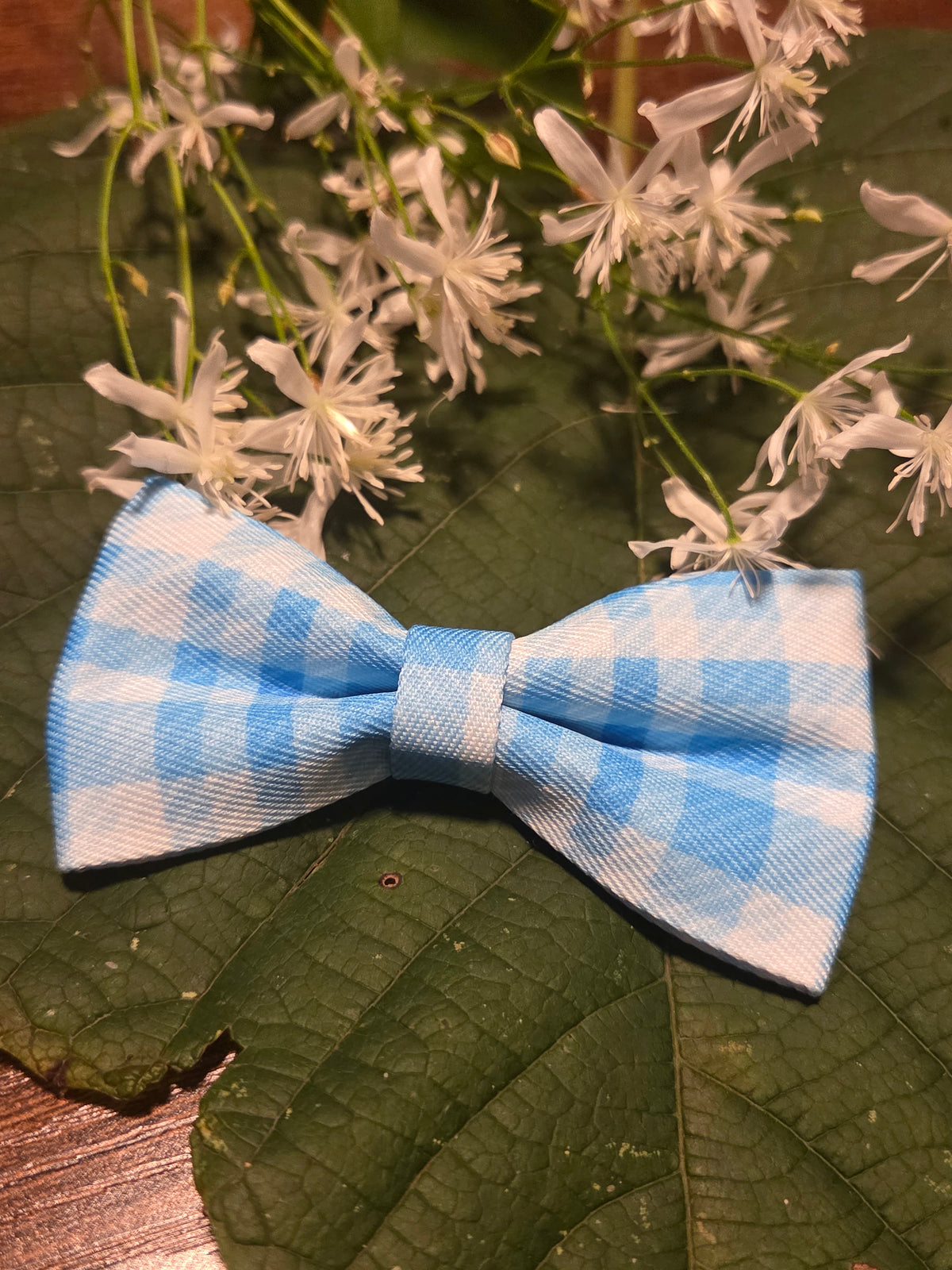 Bow Ties for Pets