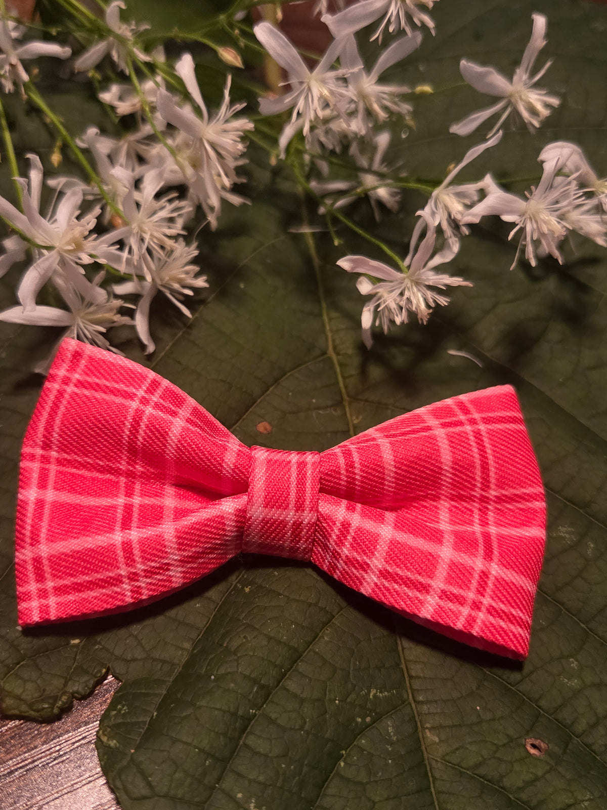 Bow Ties for Pets