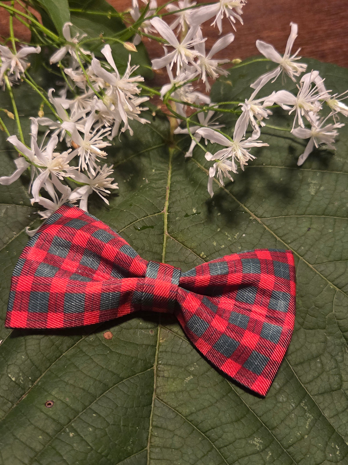 Bow Ties for Pets